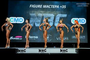 FIGURE МАСТЕРА +35